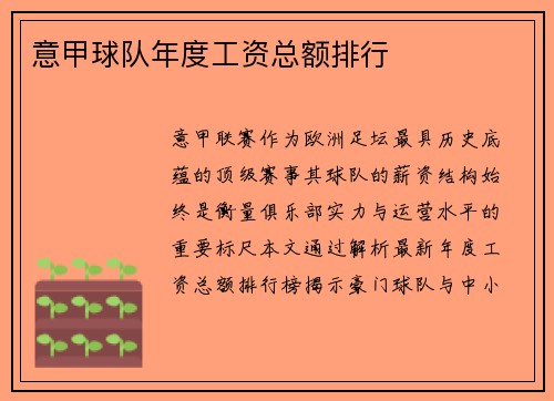 意甲球队年度工资总额排行